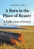 Author Matthew James’s New Book, "A Burn in the Place of Beauty," is a Stunning Collection of Poems Inspired by the Author’s Experiences and Reflections on the World