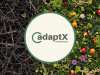 Harmonious Workplaces Launches AdaptX