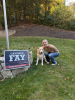 Danbury City Council Candidate Candace V. Fay Launches “Furever Danbury” – A Campaign for the Fur Vote