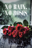 Cindy Bozell’s Newly Released "No Rain, No Roses" is a Heartfelt Testimony of Faith, Healing, and Hope After Hardship
