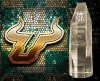 Senior Smiles Dentistry Honored as One of USF’s Fast 56 Fastest-Growing Bull Businesses