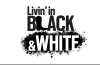 Denver's Boldest New Comedy Just Got Bigger: "Livin' in Black & White" Secures Funding, Races Into Production on Episodes 2 & 3