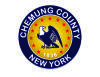Chemung County Holds Tax Foreclosed Real Estate Auction