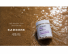 CADDARA Introduces ACTIVATE, a Delay-Release Longevity Supplement Combining Liposomal NMN and Probiotics
