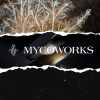 DFX Corporation Launches Phase II of Growth Strategy with Reopening of MycoWorks Innovation Center in Emeryville