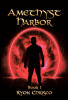 Recent Release, "Amethyst Harbor," from Page Publishing Author Ryon Chrisco, Explores a Supernatural Race Against Time When an Ancient Seal Begins to Crack