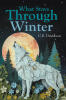 Recent Release, "What Stays Through Winter," from Fulton Books Author C.S. Davidson, Explores Two Men Learning to Heal Through Unexpected Love in Snow-Laden Mountains