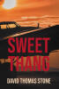 Recent Release, "Sweet Thang," from Fulton Books Author David Thomas Stone, Follows Skilled Pilots Who Discover a Hidden WWII Bomber & Must Prevent a Catastrophic Attack
