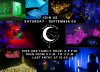 The Award-Winning Night Lights in New Lebanon Opens Event Registration