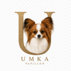 Umka Papillon Enters the Pet Retail Market with a Tailored Approach to Life with Tiny Dogs