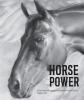 Main Street Arts (Clifton Springs, NY)  and RedDOTvirtual (Rochester, NY)  Bring HORSE POWER Exhibition to Collectors Worldwide with Immersive 3D Virtual Gallery
