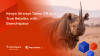 Kenya Airways Takes Off as a True Retailer, with Branchspace