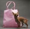 PuppyPurse Introduces The FurBaby Tote by PuppyPurse