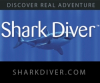 SharkDiver.Com CEO Featured on 20th Anniversary of Shark Week