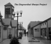 The Disgruntled Sherpa Project Heads to “The Wildwoods” for Sixth Album