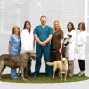 Dr. Tina Smith Joins Hardin Valley Animal Hospital as It Expands Its Staff and Extends Its Hours