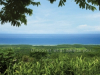 Costa Rica - the Undiscovered Southern Central Pacific Real Estate Boom
