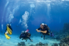 New Sail and Dive Course Boosts Learning Vacation Experience