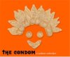 New e-Book Makes Condom the Butt of Jokes