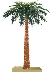 Tropical Royal Palm Trees- 7'