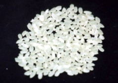 Medium Grain rice