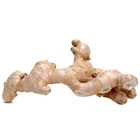 Essential oil of Ginger 15 ml
