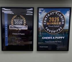 Chews A Puppy Earns Award-Winning Success