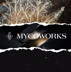 DFX Corporation Launches Phase II of Growth Strategy with Reopening of MycoWorks Innovation Center in Emeryville