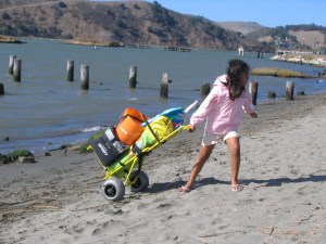 Beach Cart Folding-Mini