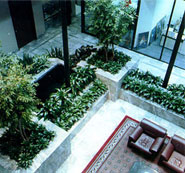 Lobby With Plant Setup