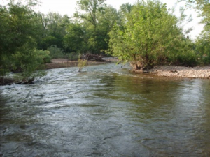 Courtois Creek