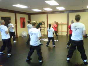 Wing Chun Class 2