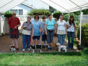 Basic Obedience Group Class June 2008
