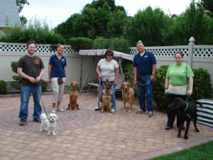 Basic Obedience Group Class June 2010