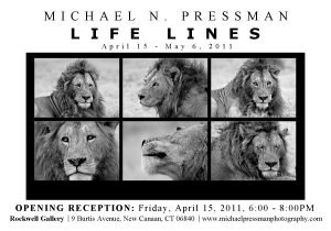 “Life Lines” Exhibition Invitation - Michael Pressman