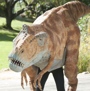 Photo: Santa Barbara Zoo's T. Rex Duncan