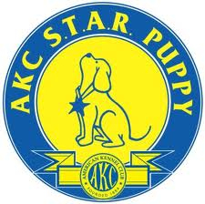 AKC S.T.A.R. Puppy Training Program