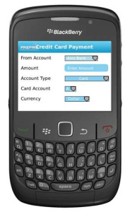 Screen Shot of the Mobile Money Transfer App