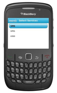 Screen Shot of the Mobile Money Transfer App