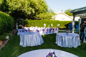 Backyard or Park Wedding and Reception Package
