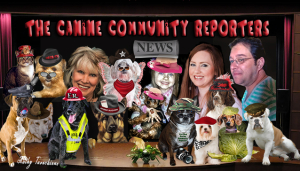 The Canine Community Reporters News