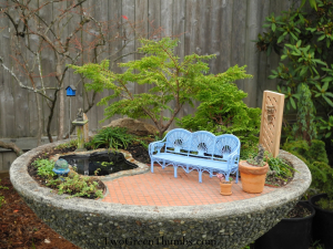 Miniature Garden Oasis