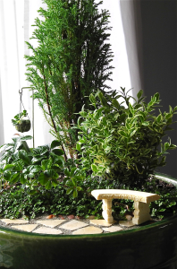 An Indoor Miniature Garden