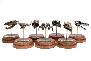 Fire & Bone Skulls Complete Collection on Bases
