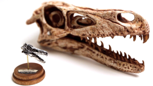 Fire & Bone Velociraptor Skull