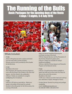 Basic Packages for Sanfermines 2015