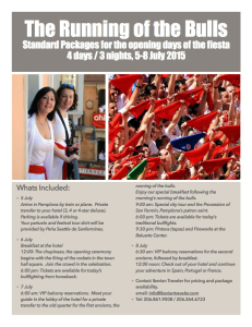 Standard Packages for Sanfermines 2015