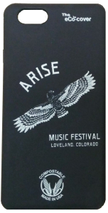 ARISE Festival Soaring Eagle eCo-cover