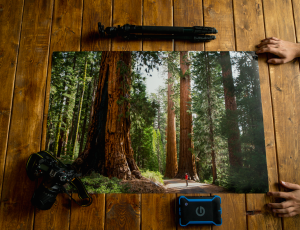 Wilderness Culture- Sequoia National Park