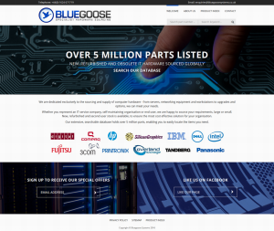 BlueGoose Systems' new website